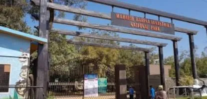 Portable digital X-ray test in LB Nagar